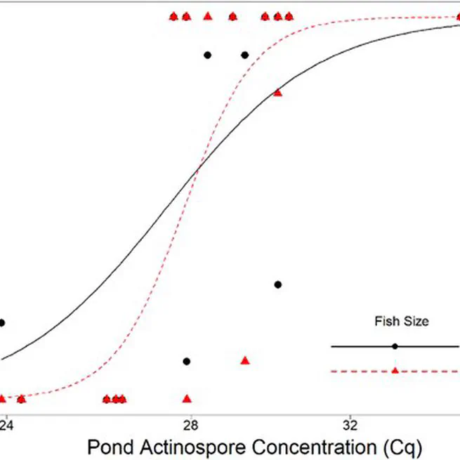 Fingerling stocking size has no influence on proliferative gill disease severity in farm-raised Channel Catfish