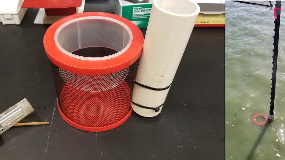 Evaluation of a snail trap prototype for monitoring the intermediate gastropod hosts of _Bolbophorus_ spp. in commercial catfish ponds of the southeastern United States